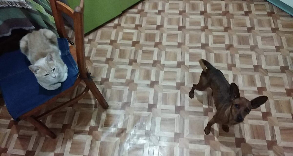 с обзором на всех вокруг