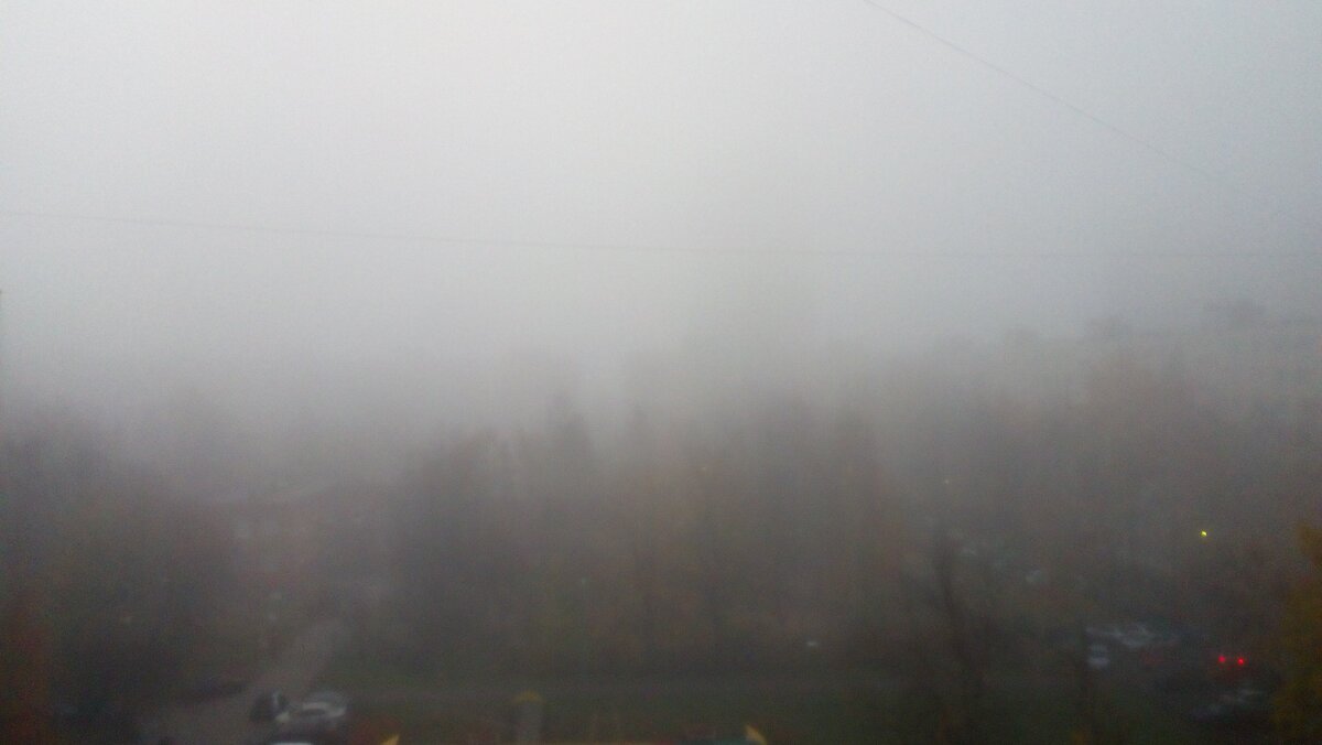Немного тумана в ленту дзен. Лена Ласточкина