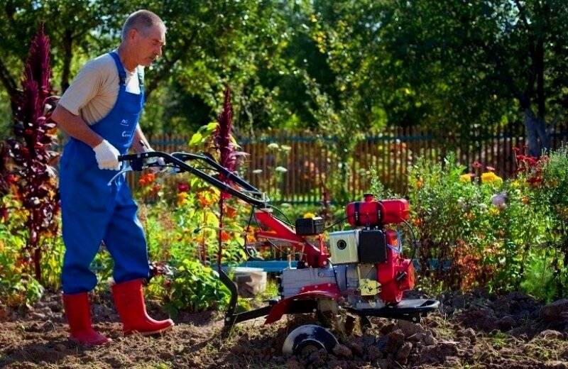 Двухколёсный трактор (мотоблок), сопровождаемый рядом идущим водителем