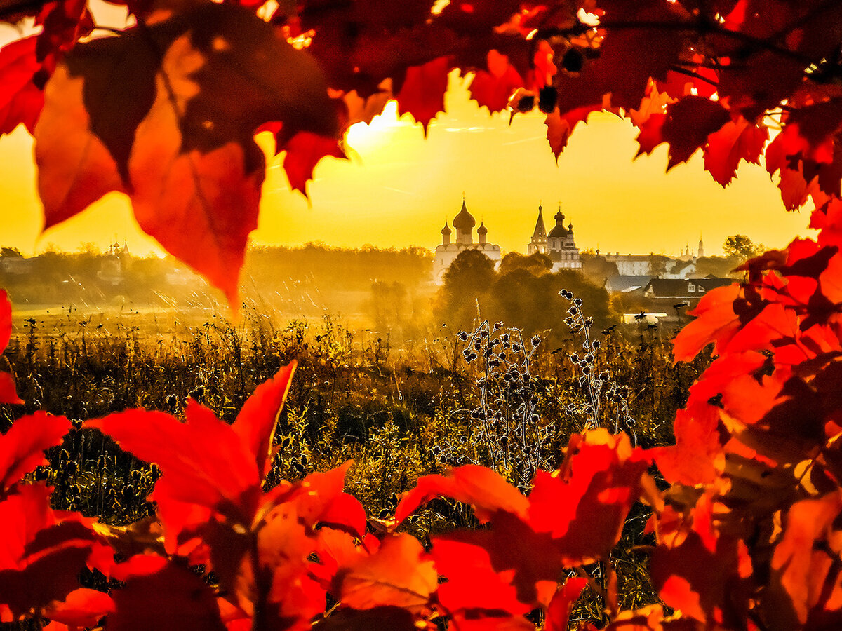 Печать в формате B2, снято на Huawei Mate20Pro.