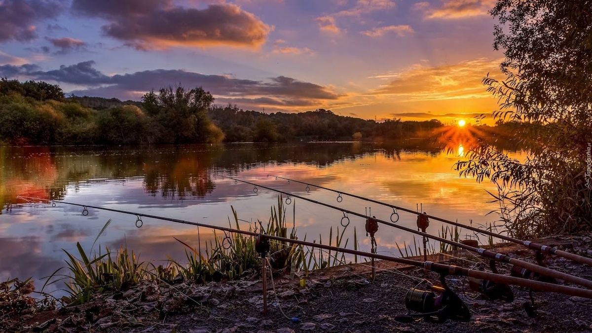 яндекс фото