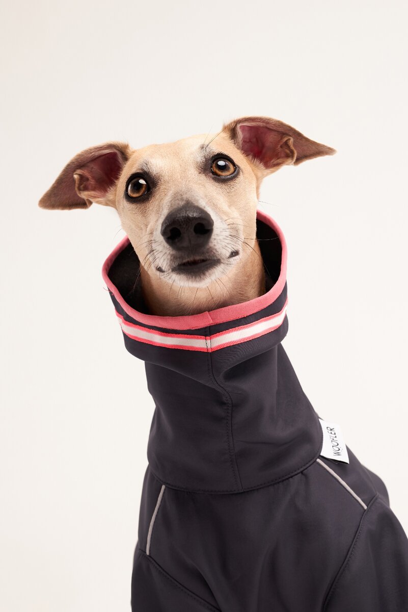 Комбинезон-капсула WOOFLER из софтшелла