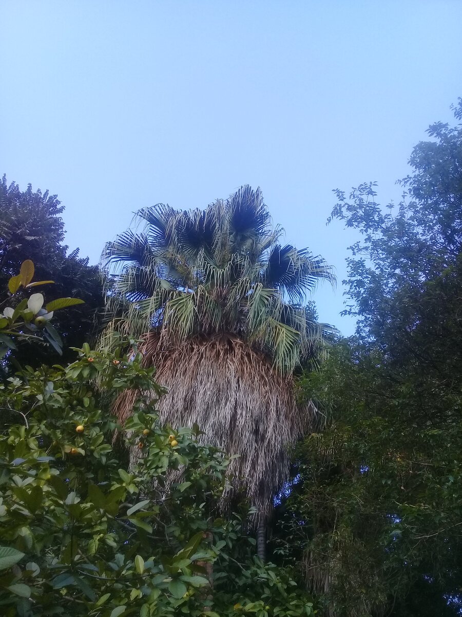 Фото автора. Бразилия.