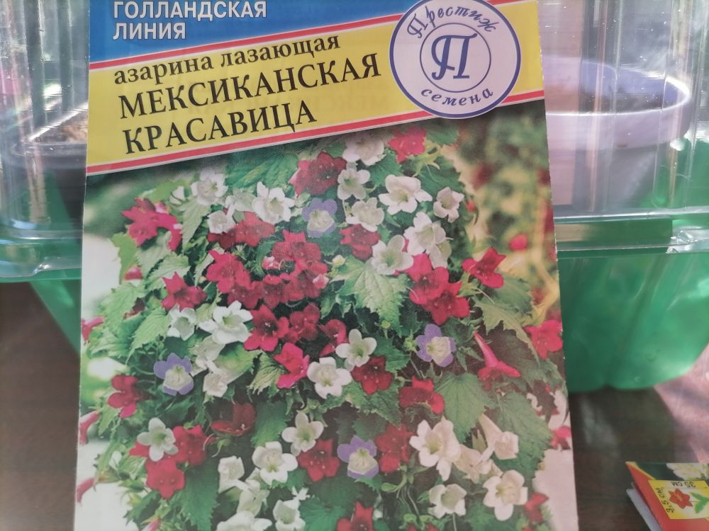 Смесь семян азарины Мексиканская красавица