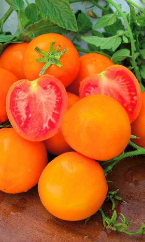 фото с сайта производиетля