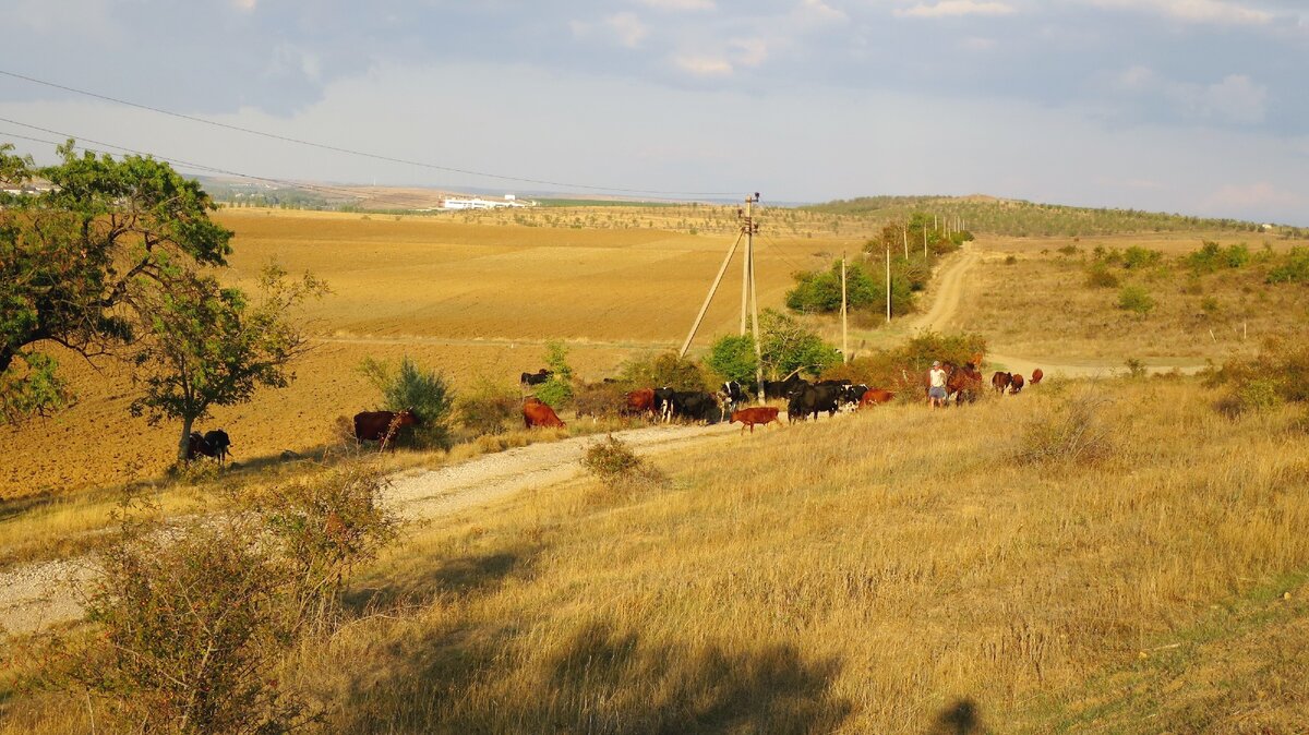 Альминская долина, сентябрь