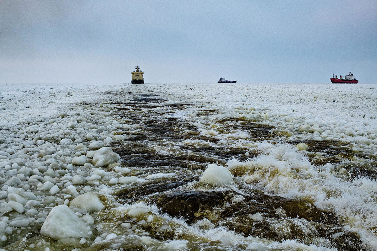 Карское море губа