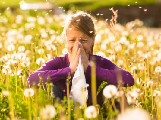 Раздражитель - пыльца