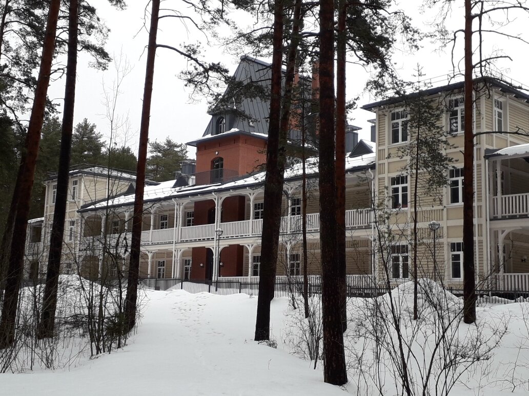 Сестрорецк. Уютный городок у моря в получасе езды от Центра Петербурга |  Поближе к Петербургу | Дзен