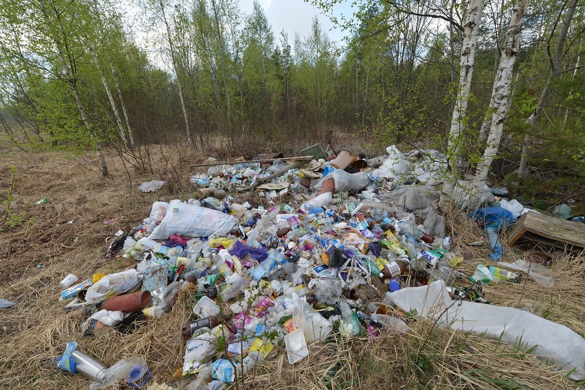 Свалка в лесу