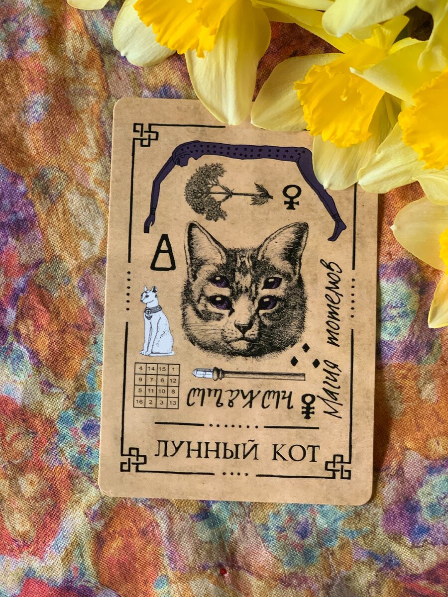 Фото из личной коллекции автора 