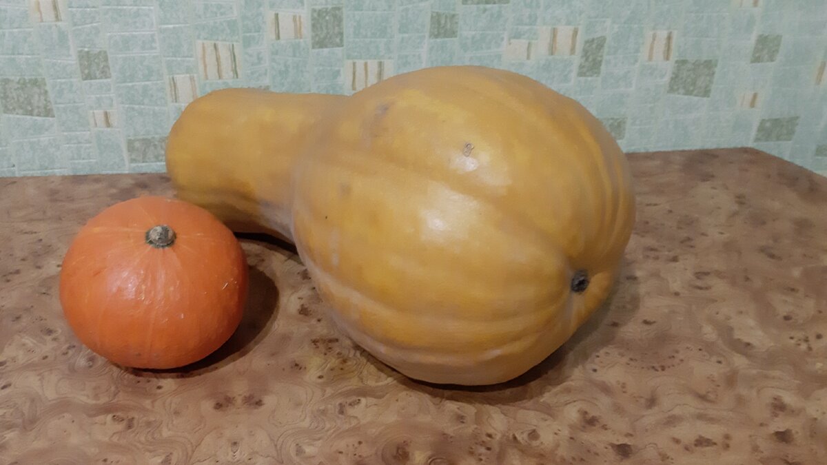 Мои тыквы долежали до марта. Фото автора.