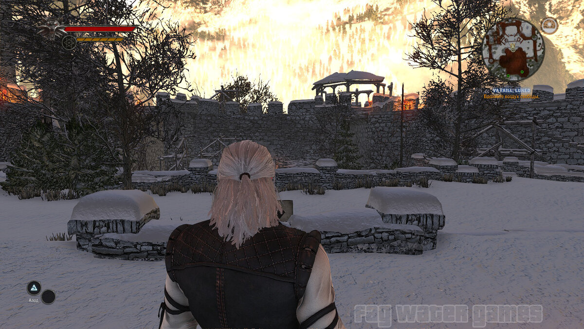 Белый волк вышел подышать воздухом