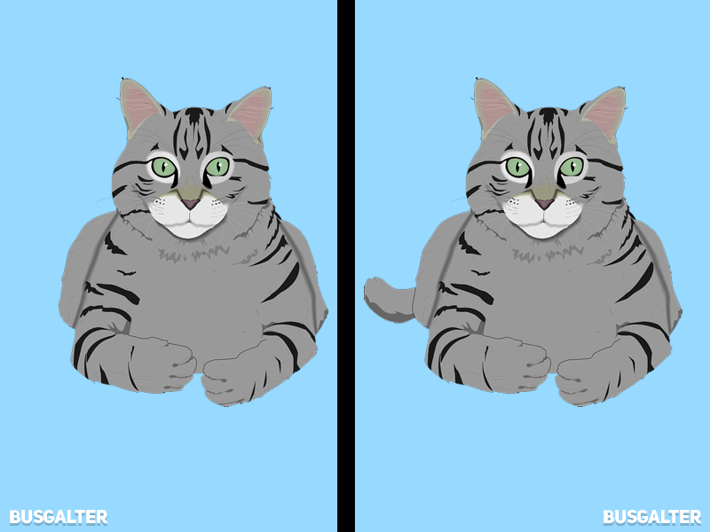 Отличающее 2. Найди 5 отличий двух котят. Найдите два похожих картинки.