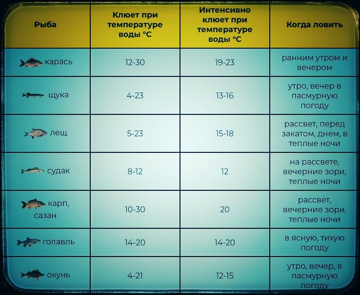 Клев рыбы в гродно