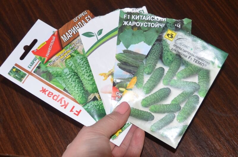 Сорта огурцов на ранний урожай.