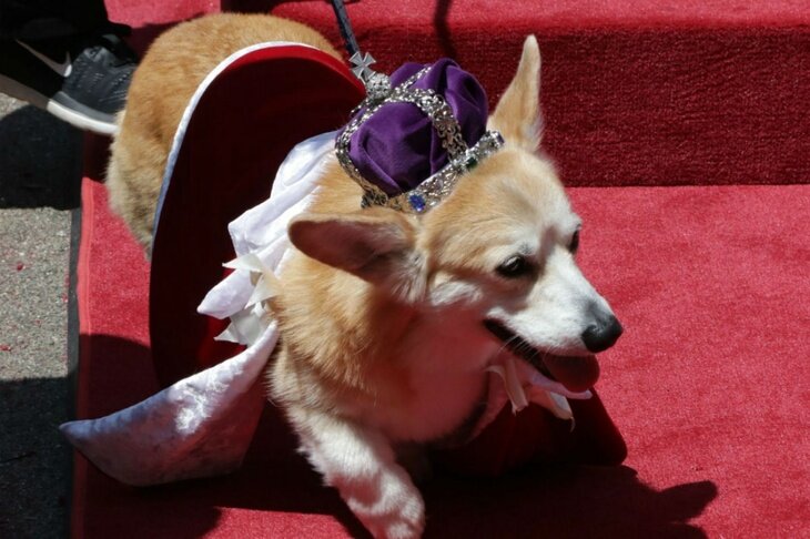 Фото: www.globallookpress.comм