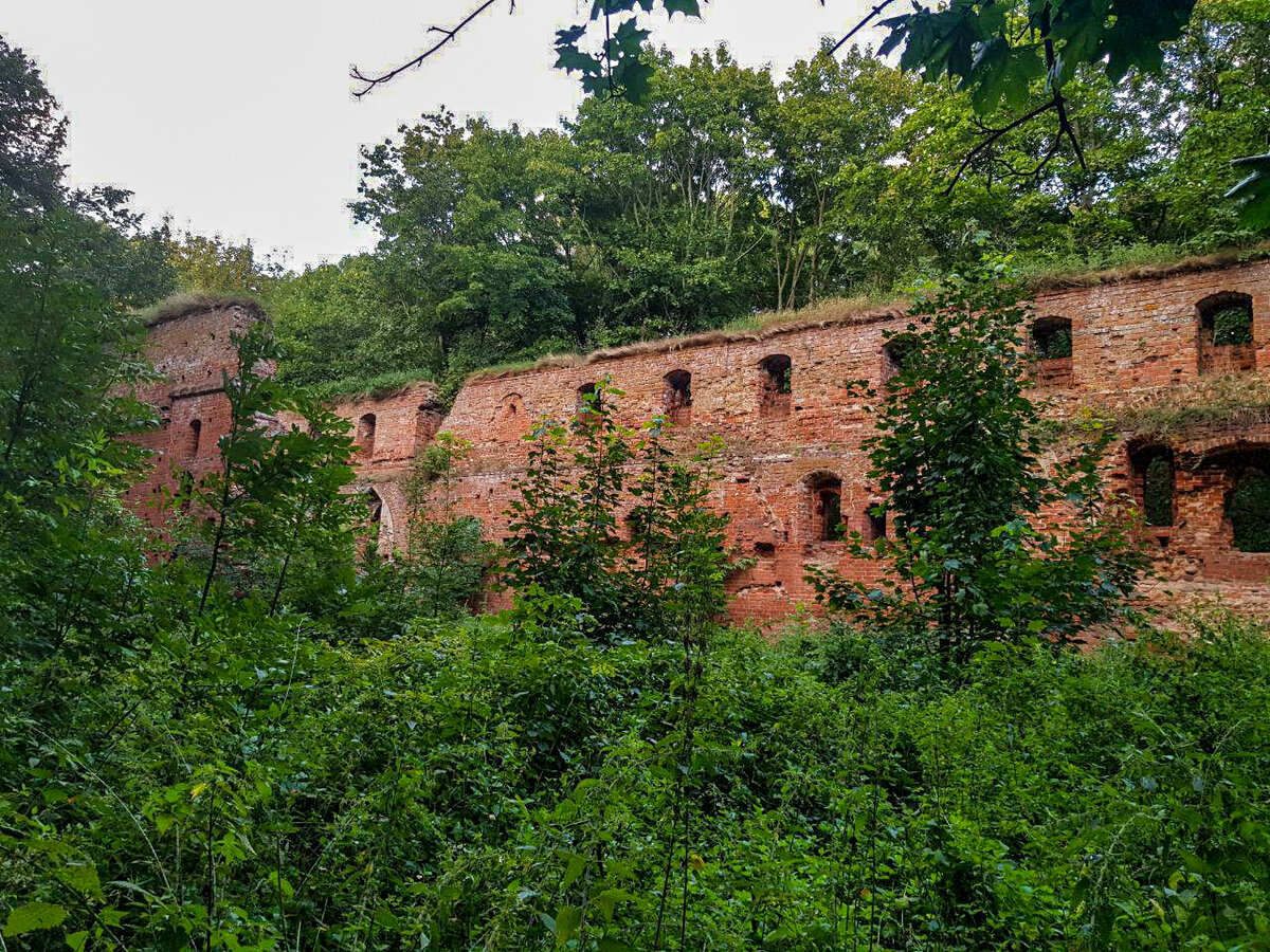 Замок бальга в калининградской области фото
