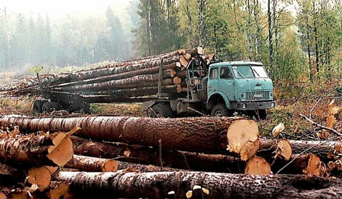 лесовоз МАЗ509