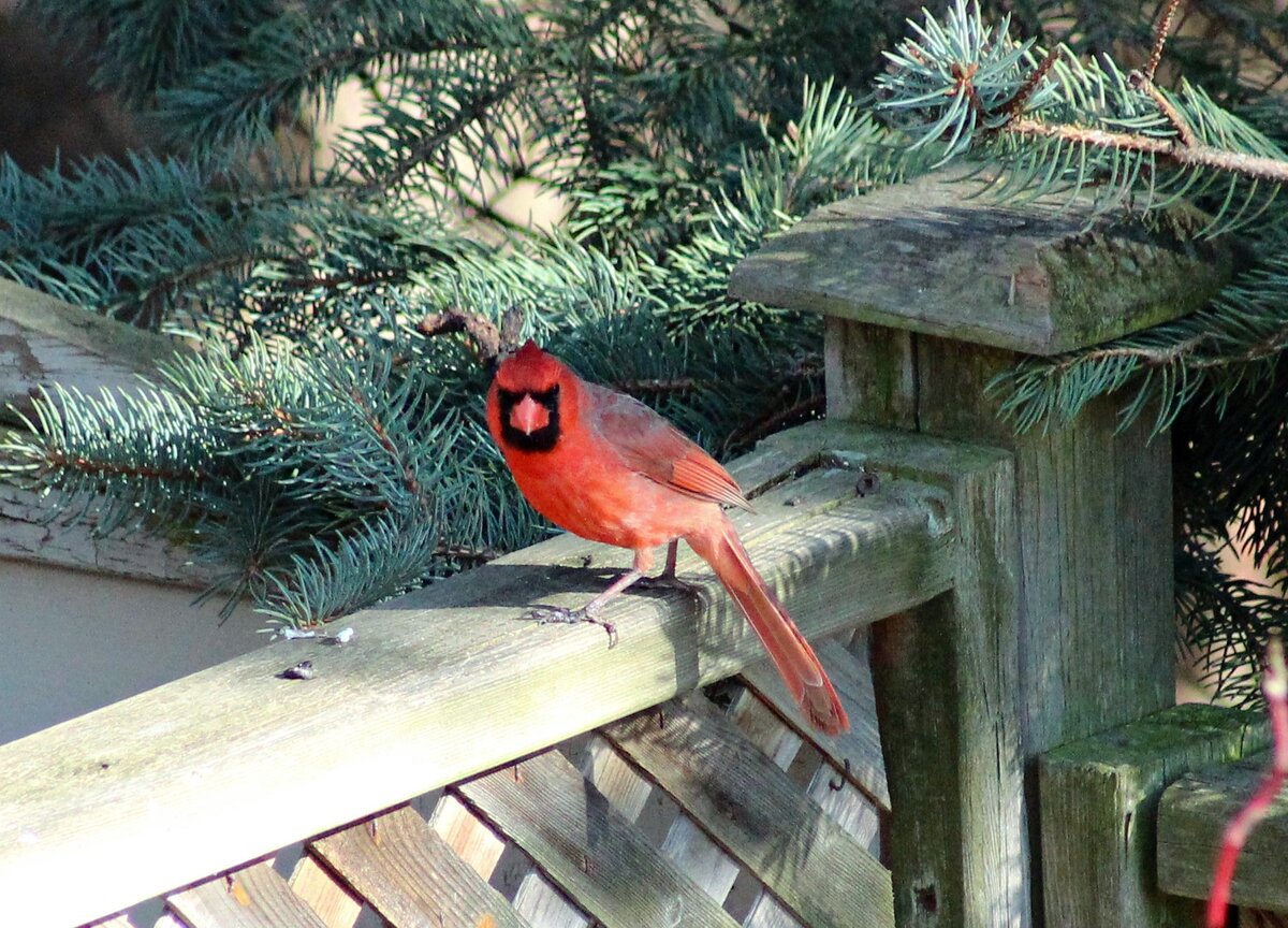 Все фотографии автора публикации