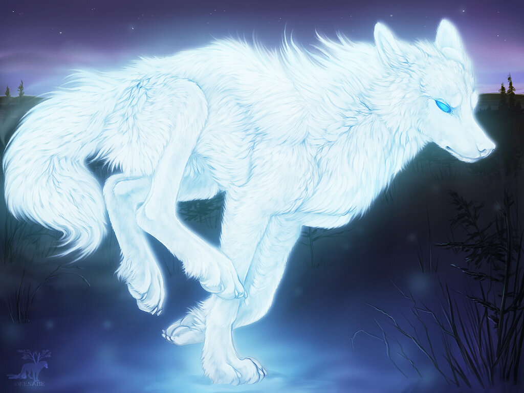 Фото из открытых источников.