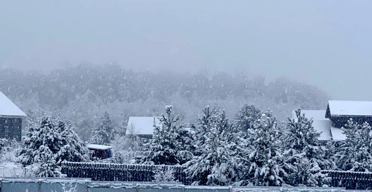 Мобильное фото. Тульская область утром 27.04.2021