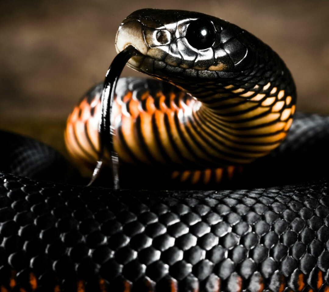 Фото с сайта goodfon.ru