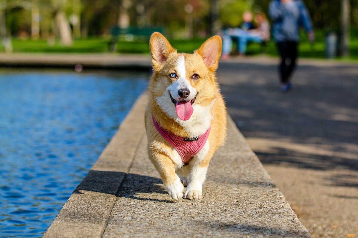 Источник фото: pexels.com