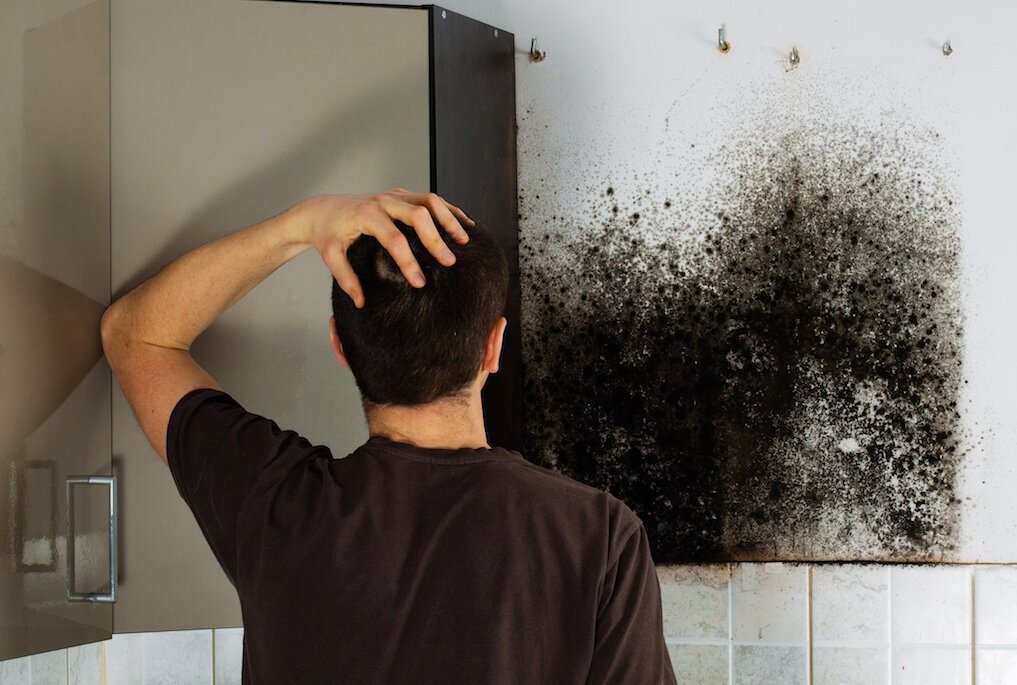 Средство от плесени 