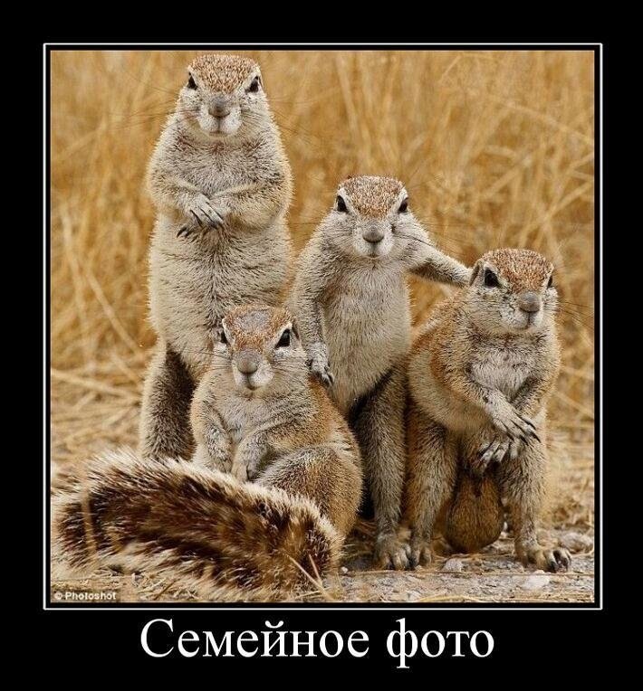 Взято из Яндекс Картинки 