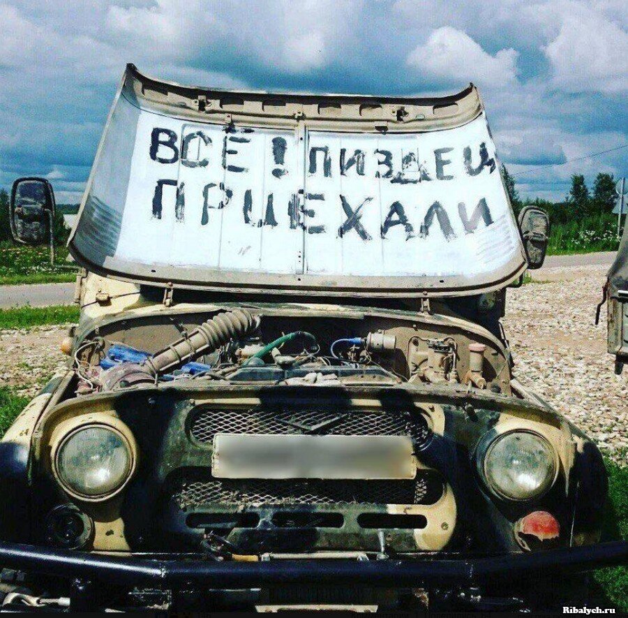 "Яндекс картинки" описание моей жизни дальше, хлеще. 