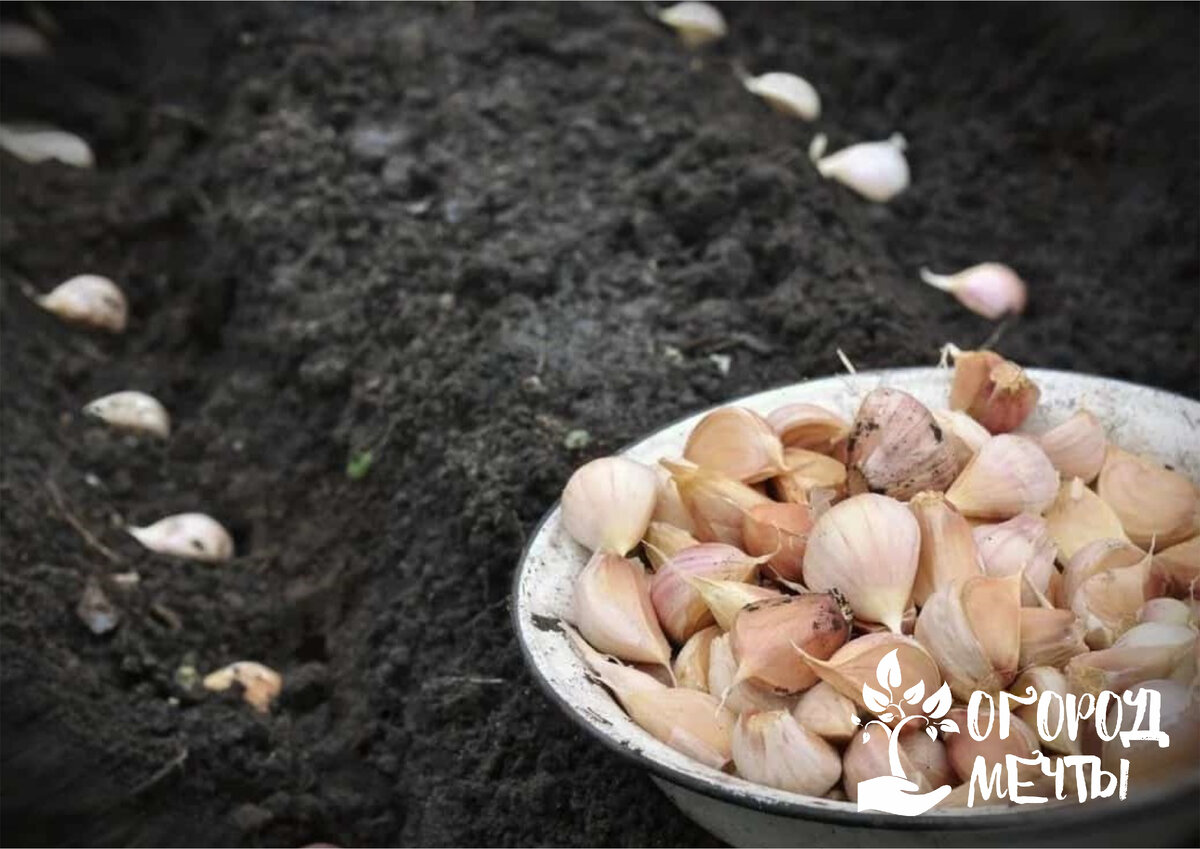 Укладка органического удобрения