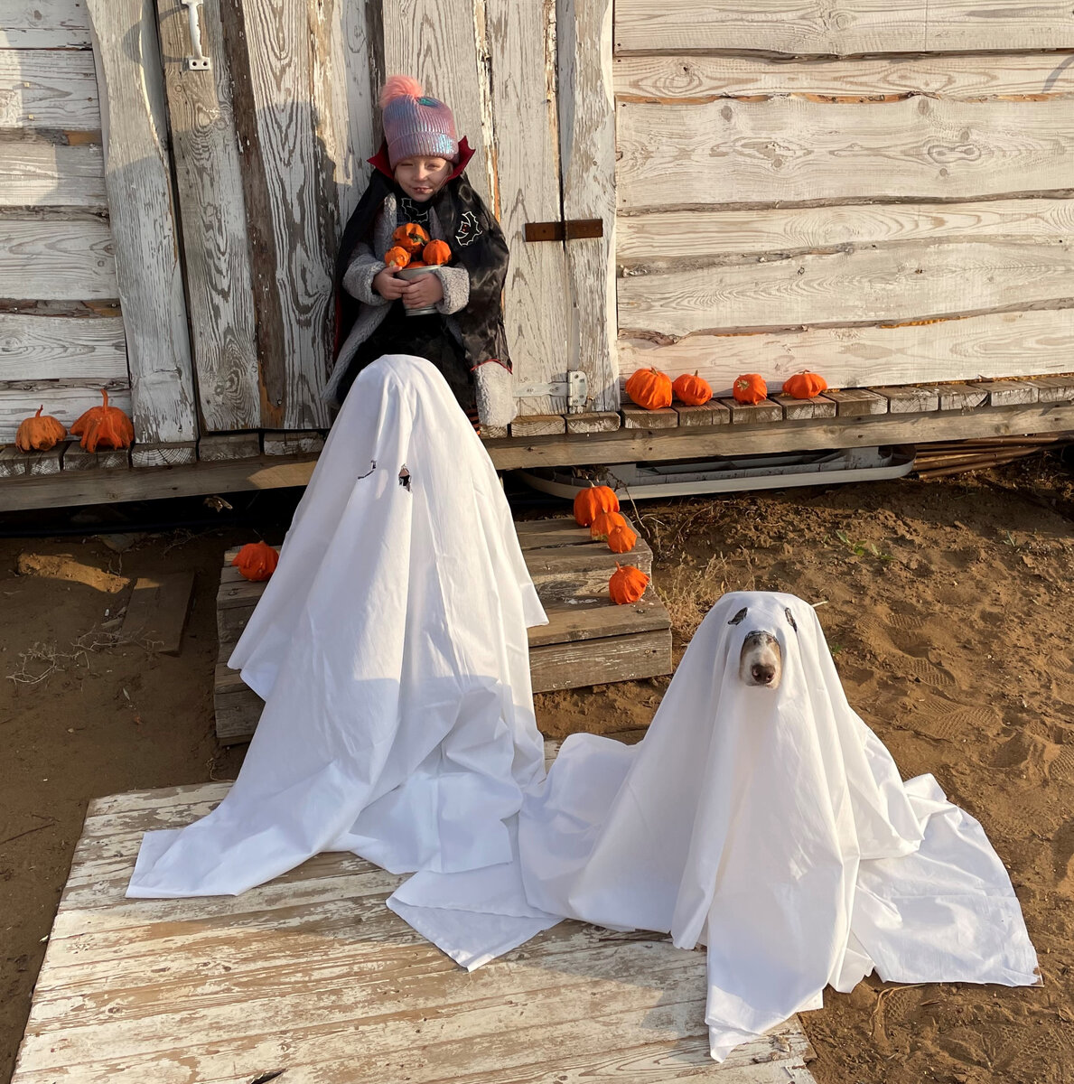 Привидения очень стараются, у некоторых даже глаза солзли )))