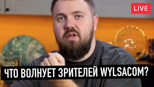 Что волнует зрителей Wylsacom?