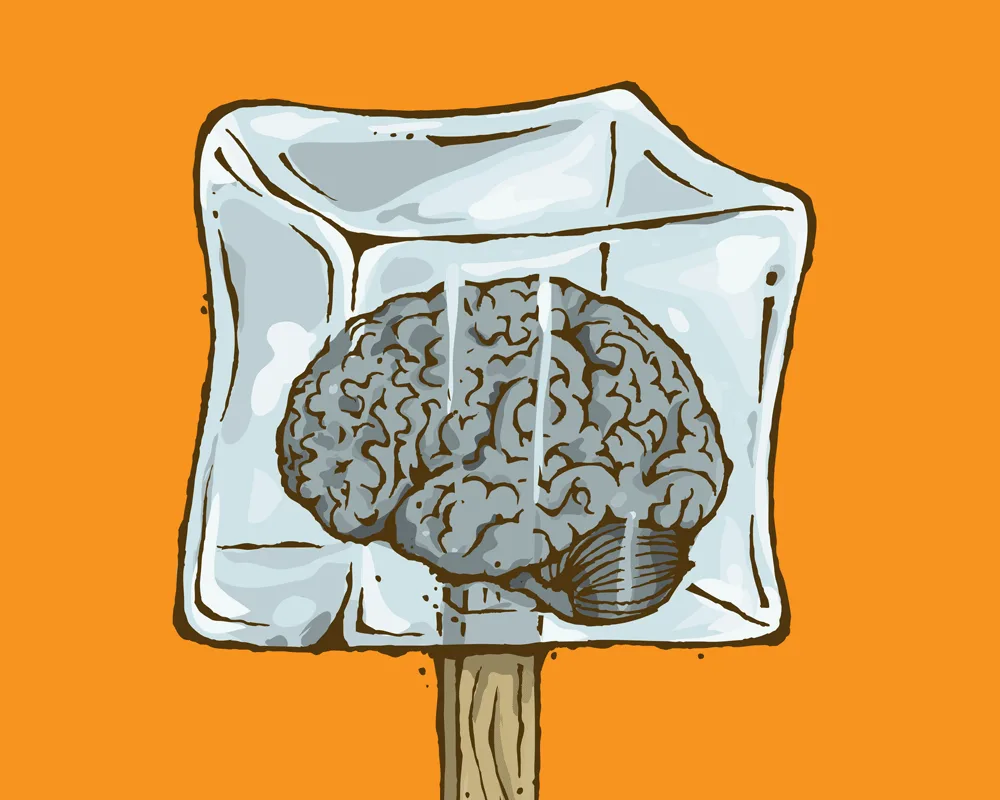 Заморозка мозгов. Мозг мороженое.