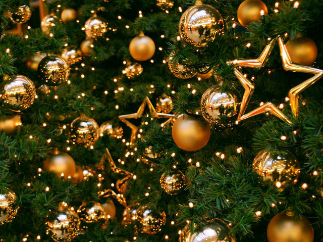 Фото из свободного доступа.