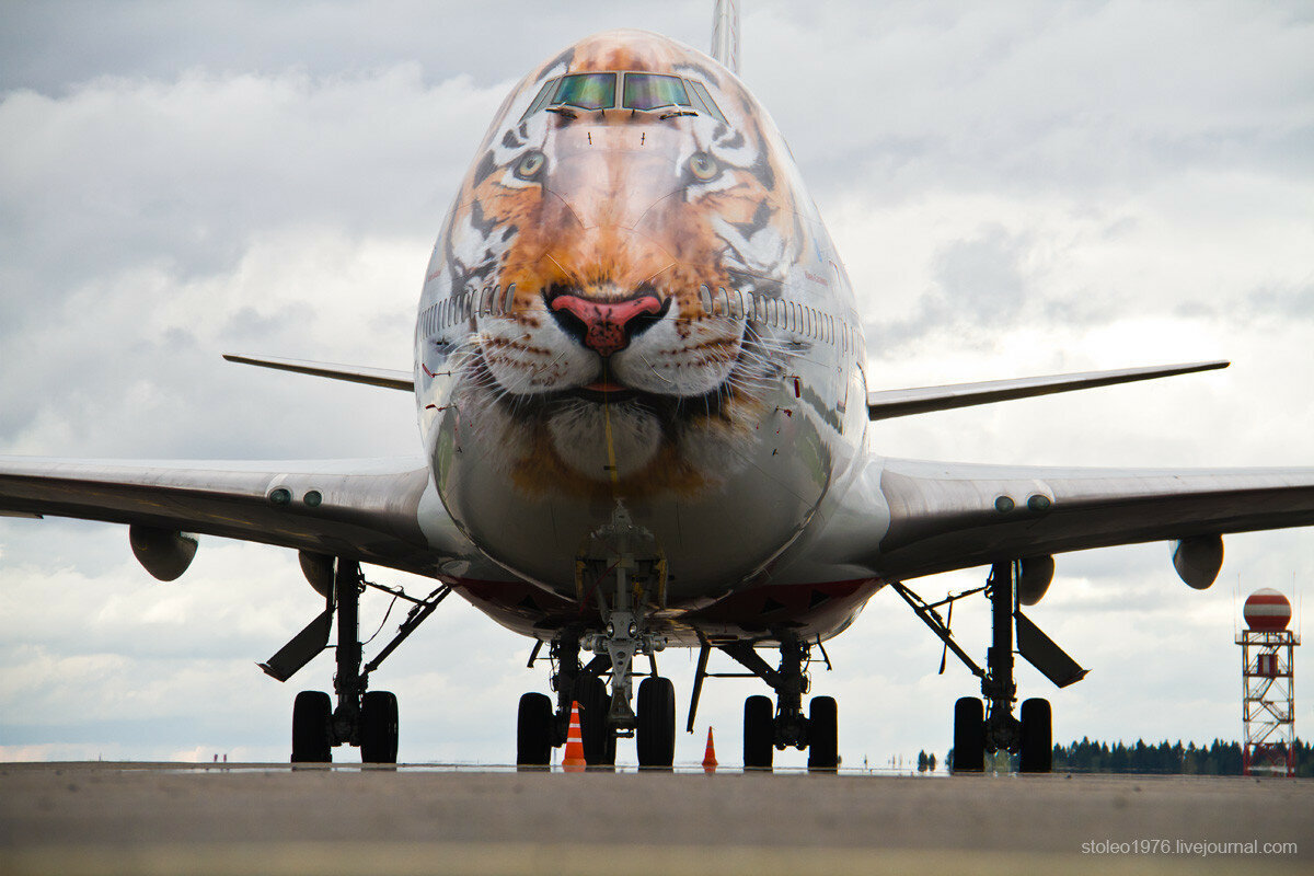 Самолеты будущего. Ан-225 мрия гостомель. Самолеты 2022 года. B777x. Патрульный самолёт.
