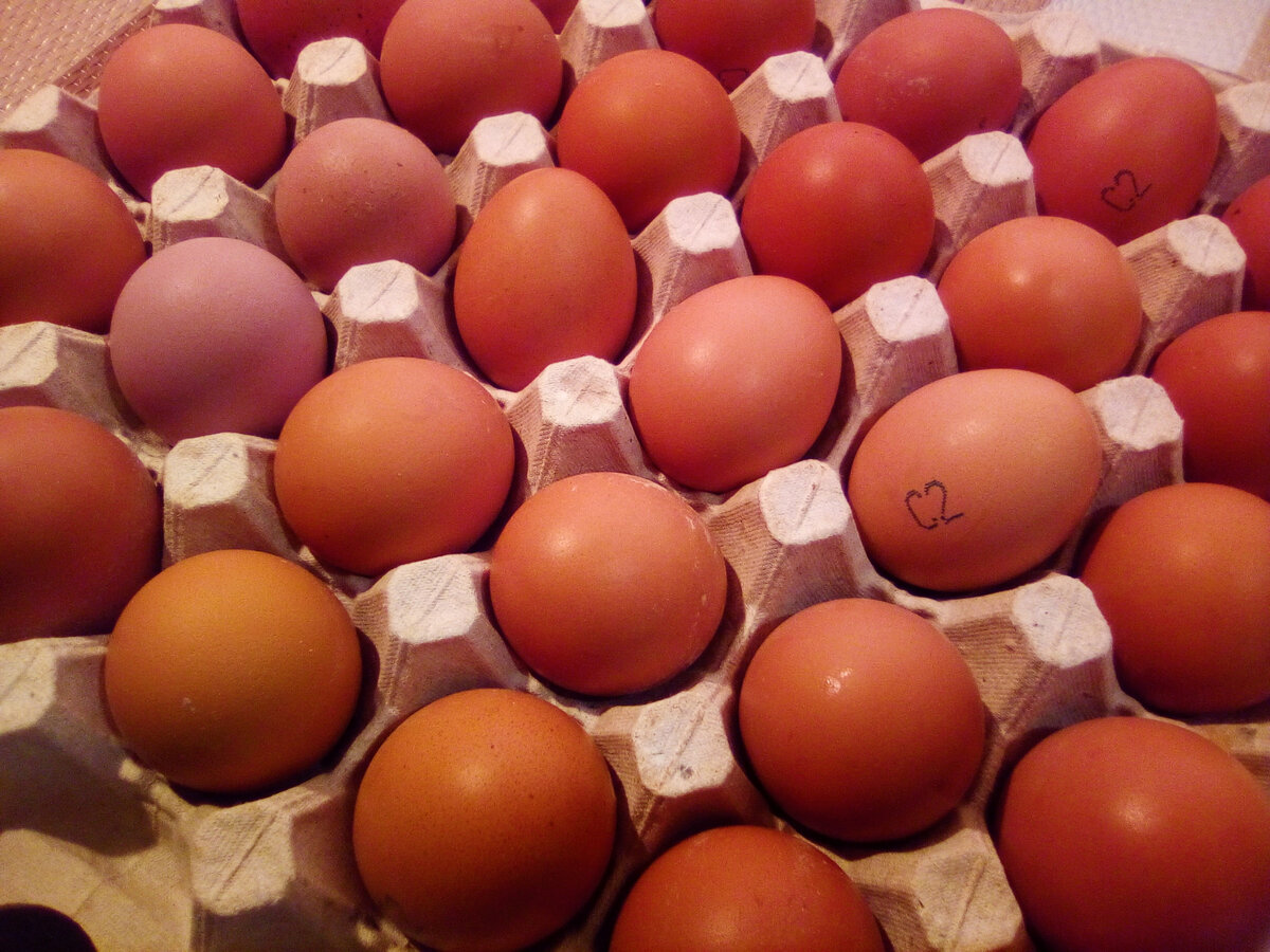 Яйцо куриное, 2 сорт. ИП Емельянцев. Цена 169,90 рубля за 3 дес.