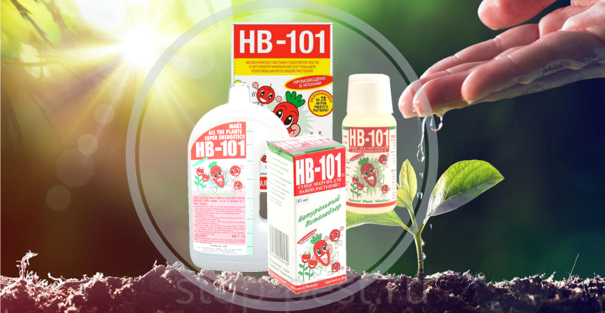 "HB-101" – известный препарат для продвинутых садоводов и огородников. Это эффективный регулятор/ активатор/ стимулятор роста и развития растений.