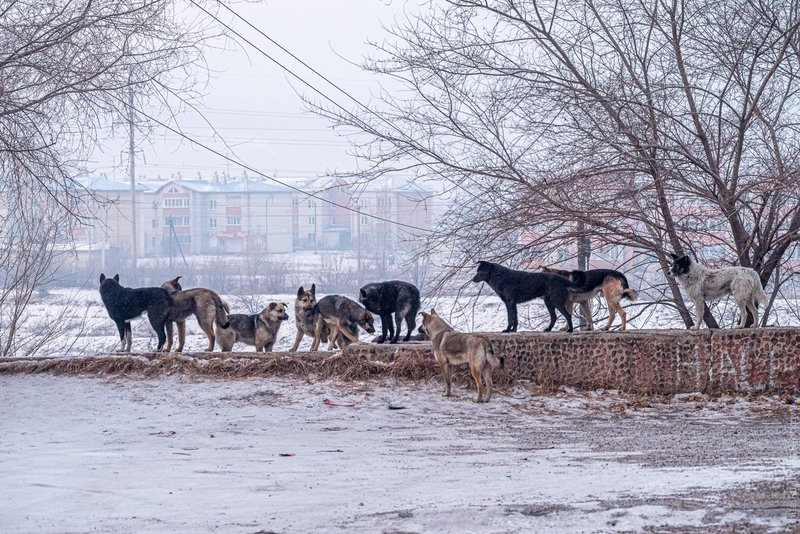Улица Гаюсана. Фото: Олег Фёдоров