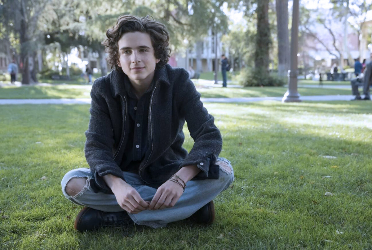 Яндекс картинки