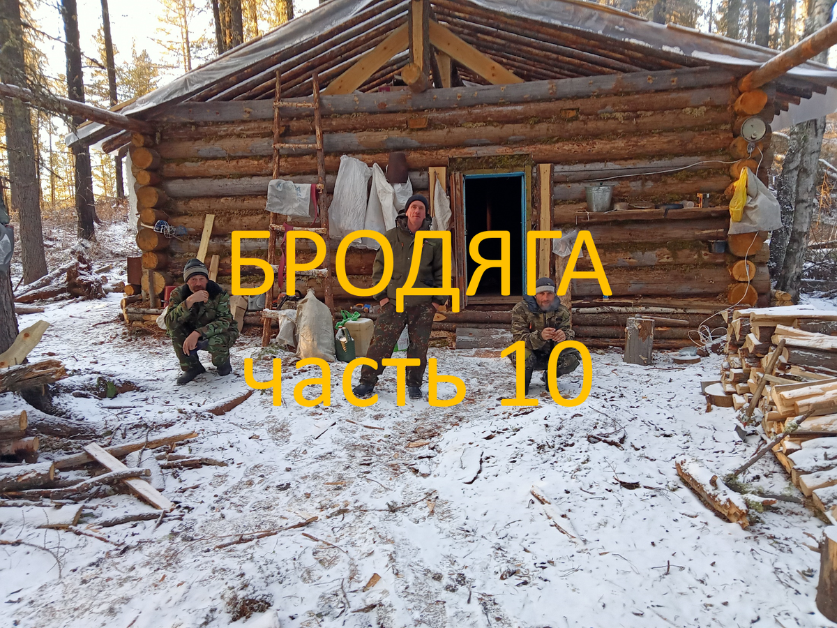 Фото Максима Воронова.