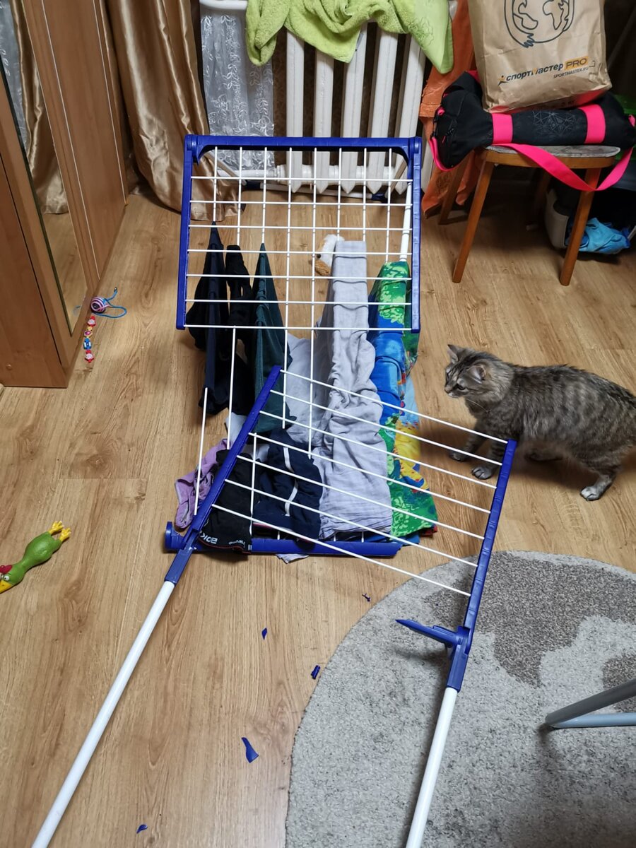 очередная жертва этой сладкой парочки