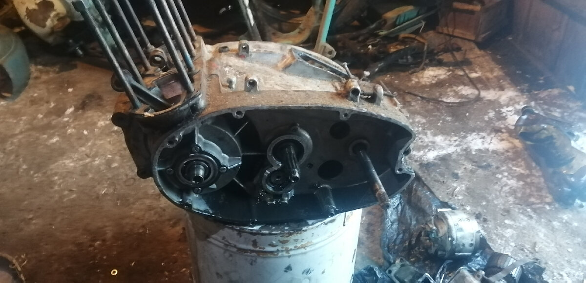 Фотография взята из личного архива 