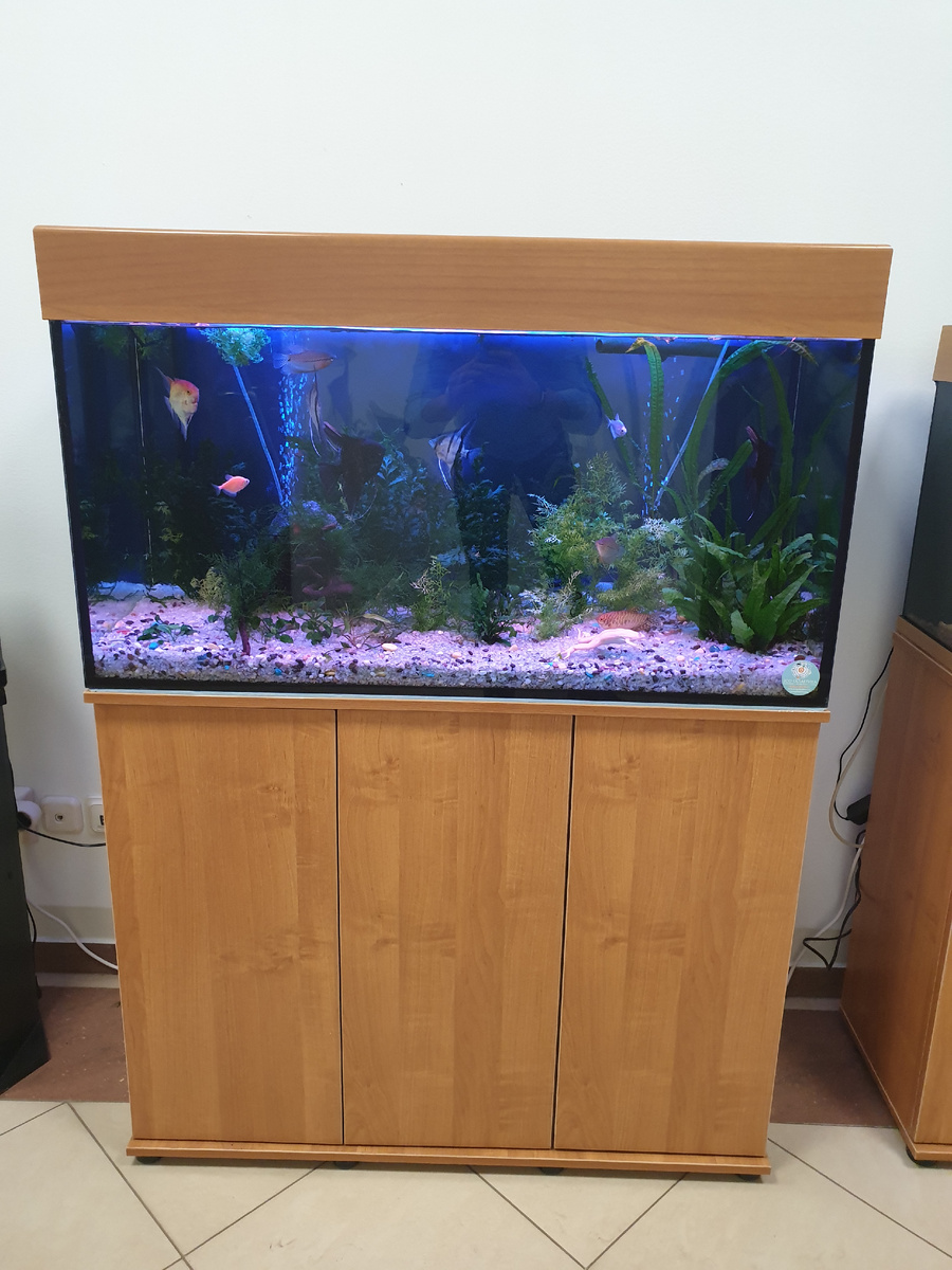 Аквариум после чистки 