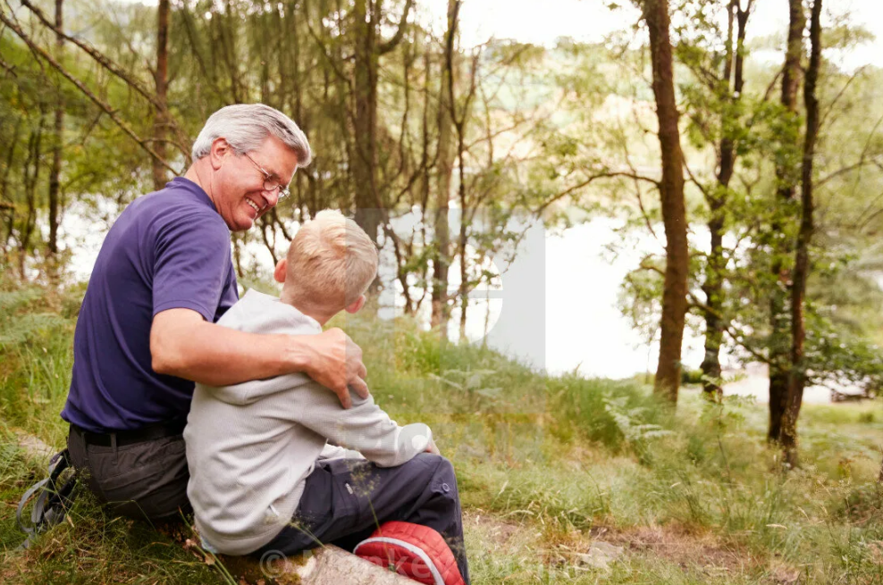 Яндекс картинки