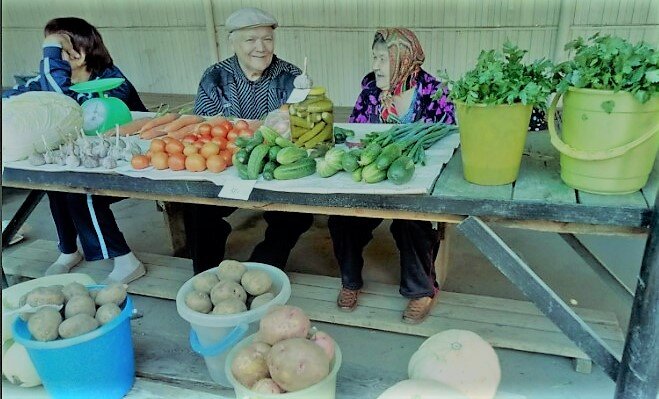 С сада и огорода на рынок, чем не заработок. Маловато, только на хлеб хватает