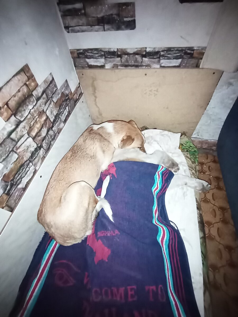 Манечка утешает своего друга Мартина