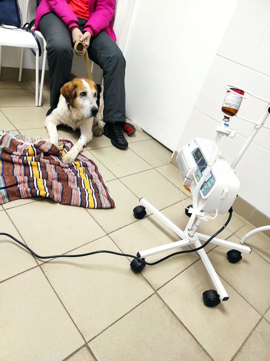 Бушуй на сеансе химиотерапии даже не пискнул