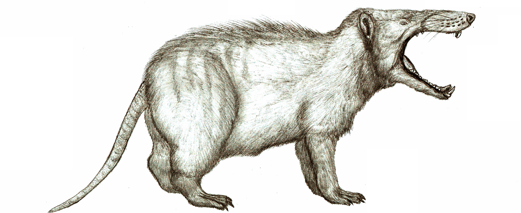 Енох выглядел примерно так, на самом деле. 